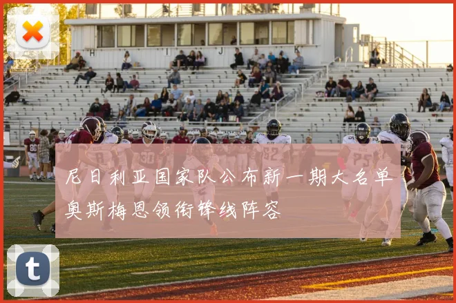 尼日利亚国家队公布新一期大名单奥斯梅恩领衔锋线阵容