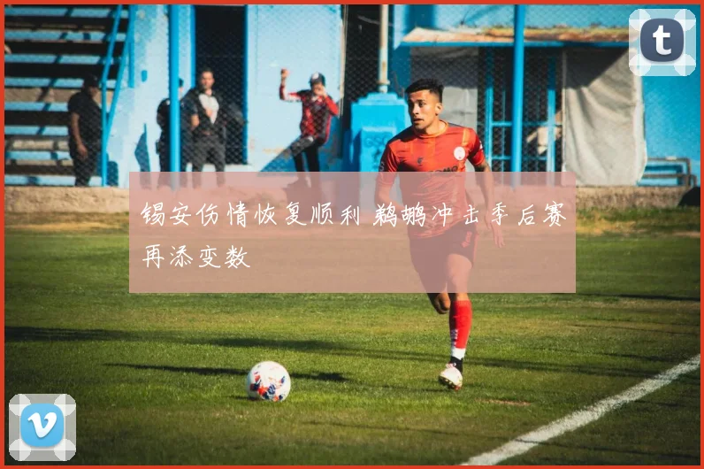 锡安伤情恢复顺利 鹈鹕冲击季后赛再添变数