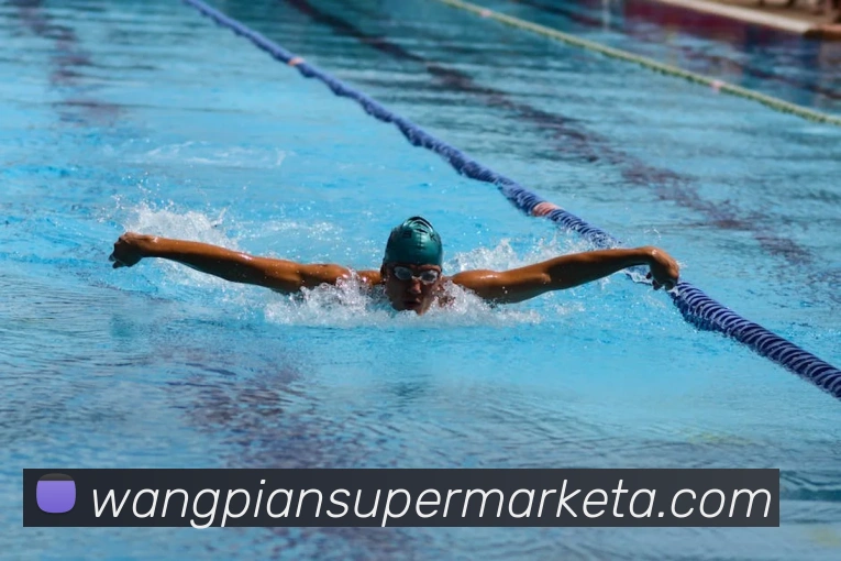 App Interface Preview