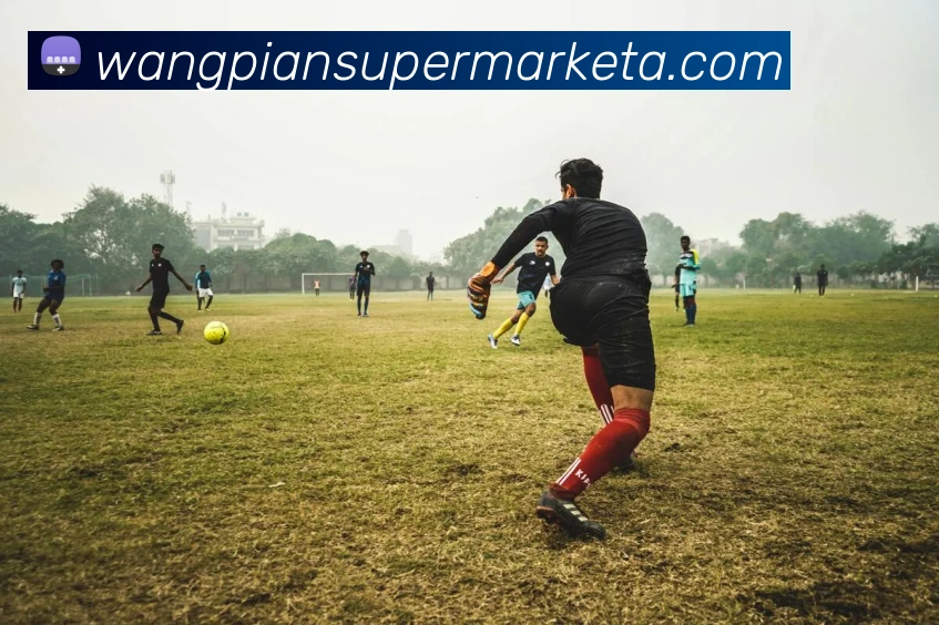 数据防护可视化